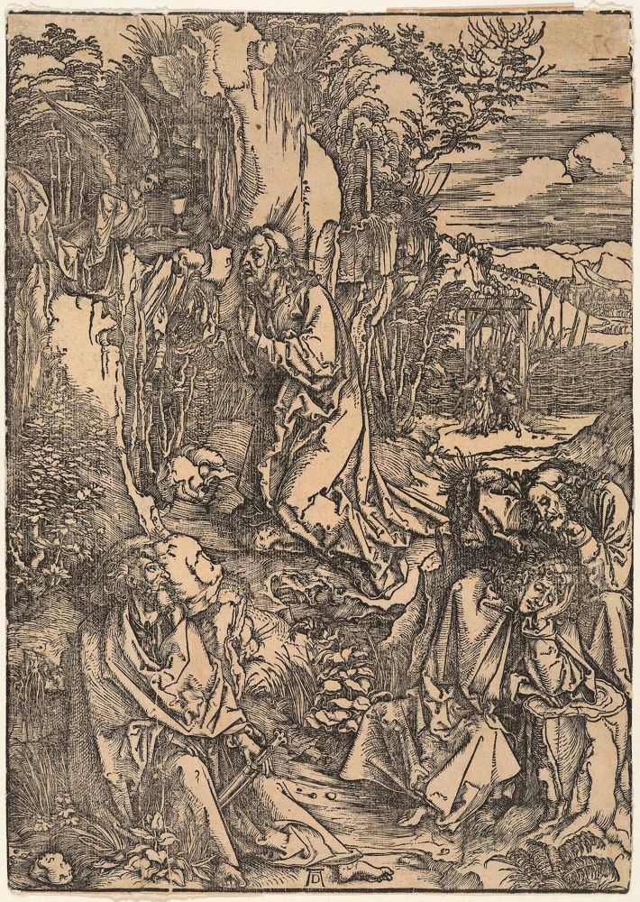 Große Abbildung Nr.1: 133-3433 Dürer, Albrecht: (Künstlergraphik)