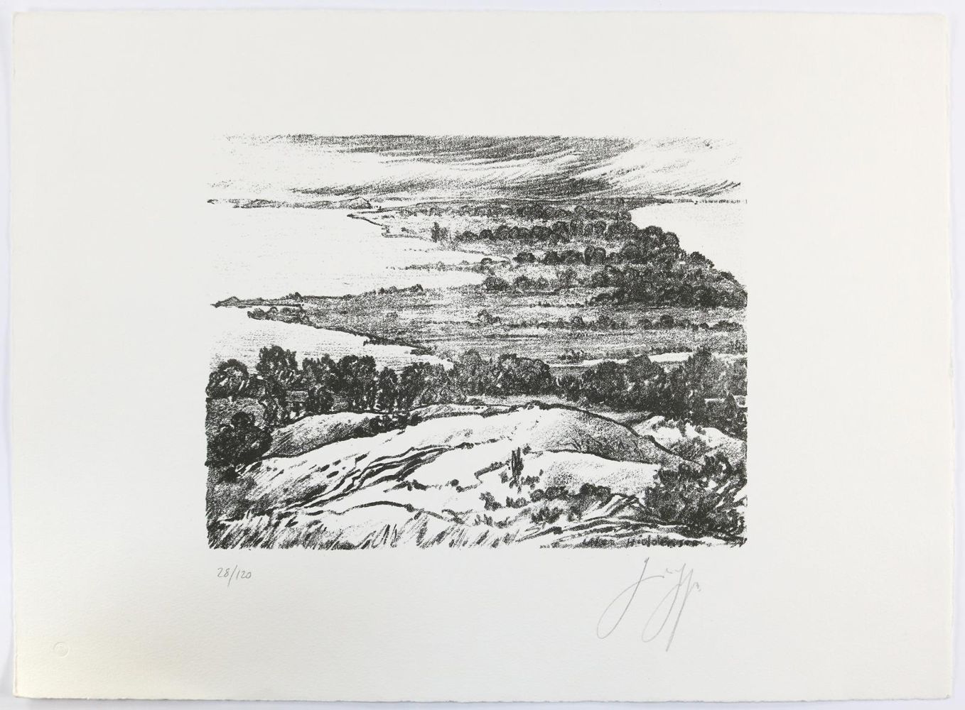 Große Abbildung Nr.1: 133-3521 Grass, Günter: (Künstlergraphik)