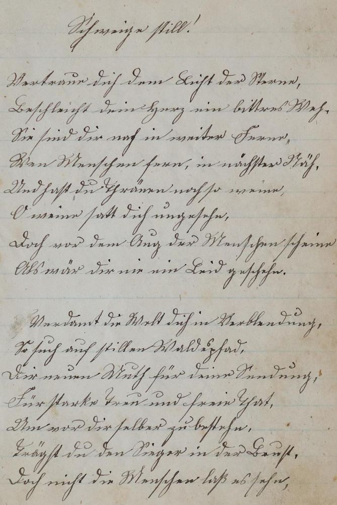 Große Abbildung Nr.1: 133-362 Sammlung: (Stammbücher)