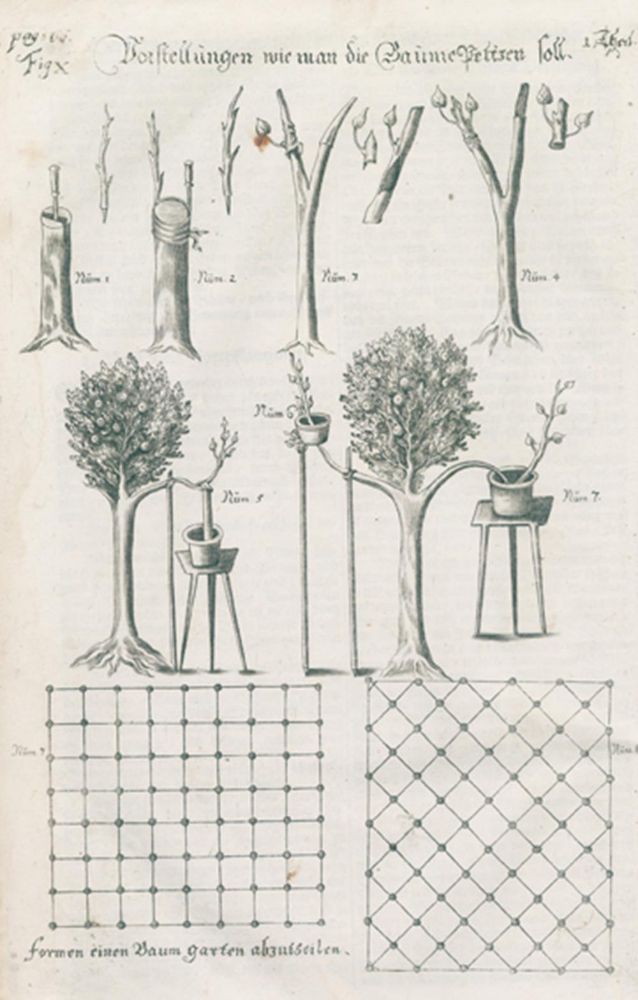 Große Abbildung Nr.1: 133-384 Glorez, A.: (Küche und Haushalt, Haushalt)