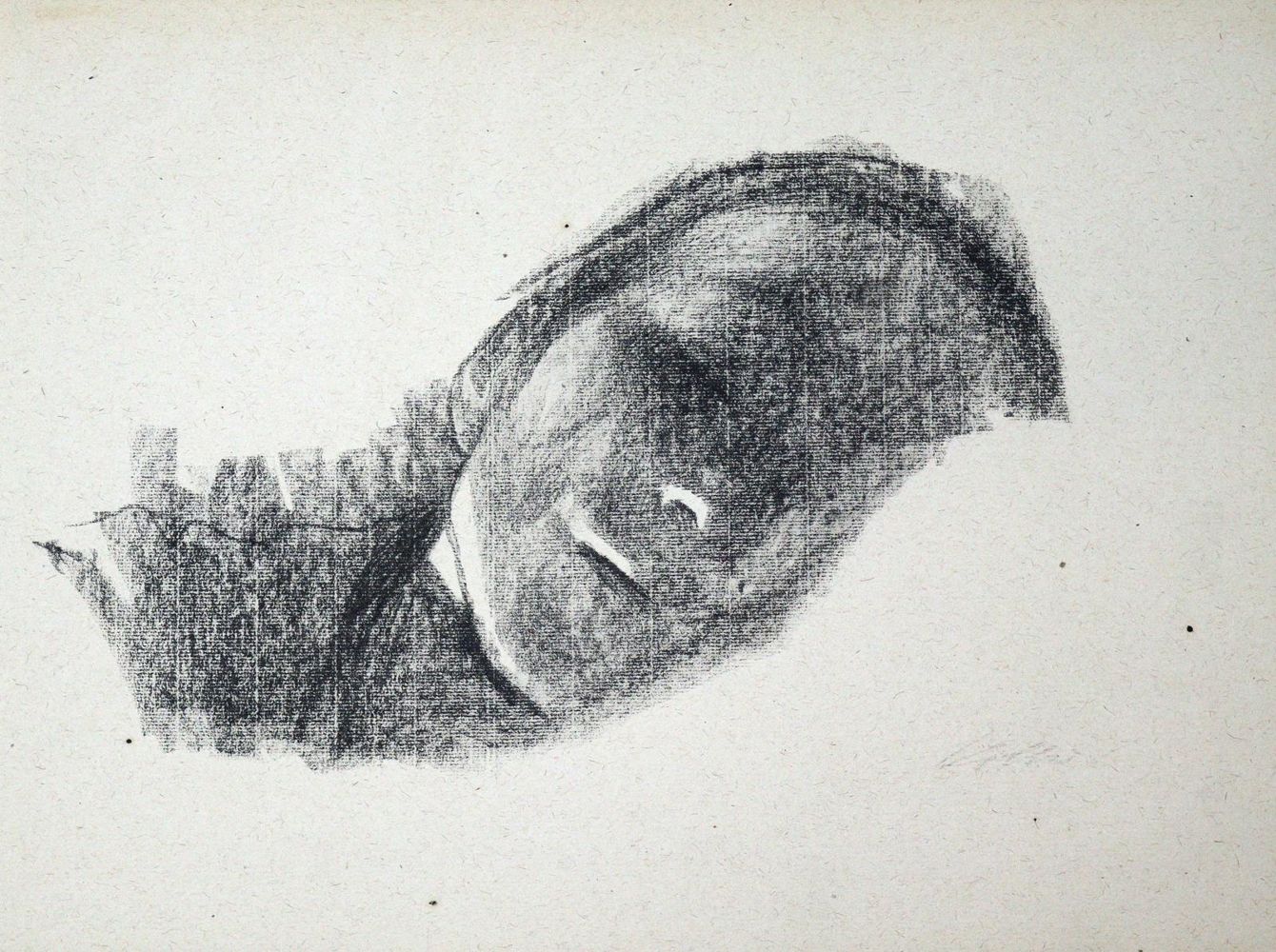 Große Abbildung Nr.2: 133-499 Kollwitz,K.: (Kunstwissenschaft)