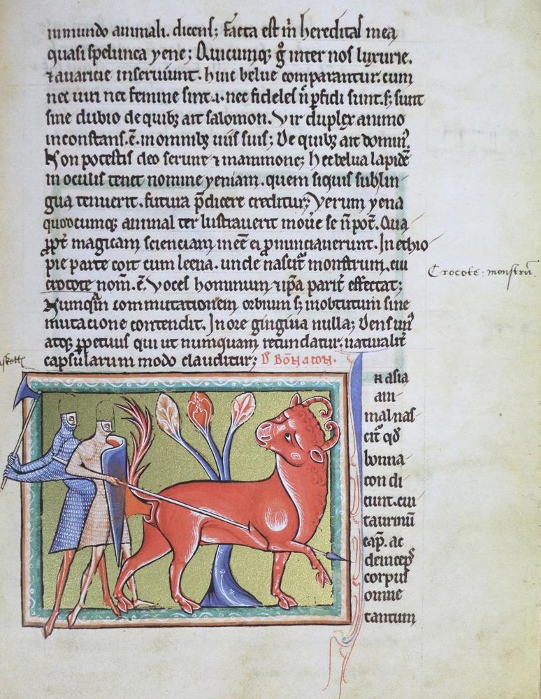 Große Abbildung Nr.3: 133-548 Bestiarium.: (Faksimile)
