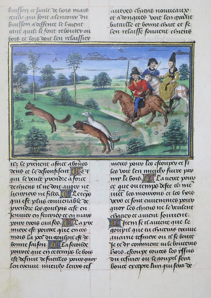 Große Abbildung Nr.1: 133-569 Le Livre du Roy Modus.: (Faksimile)