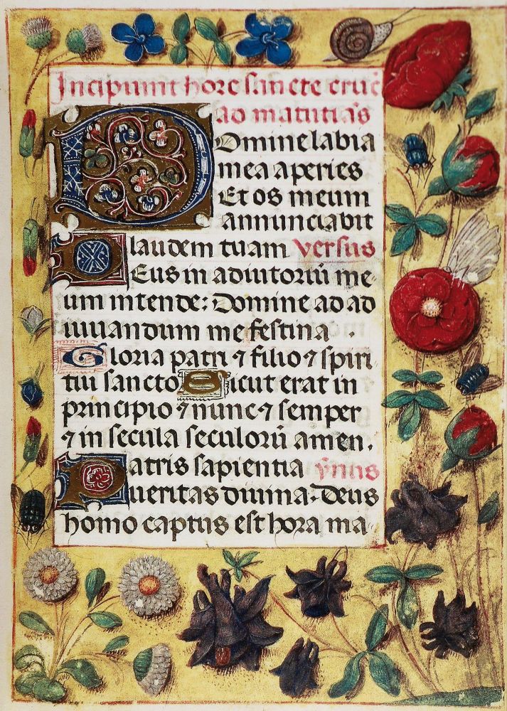 Große Abbildung Nr.5: 133-571 Liber Horarum.: (Faksimile)