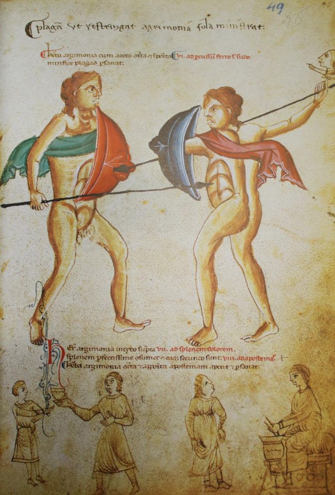 Große Abbildung Nr.1: 133-574 Medicina antiqua libri quattuor medecinae.: (Faksimile)