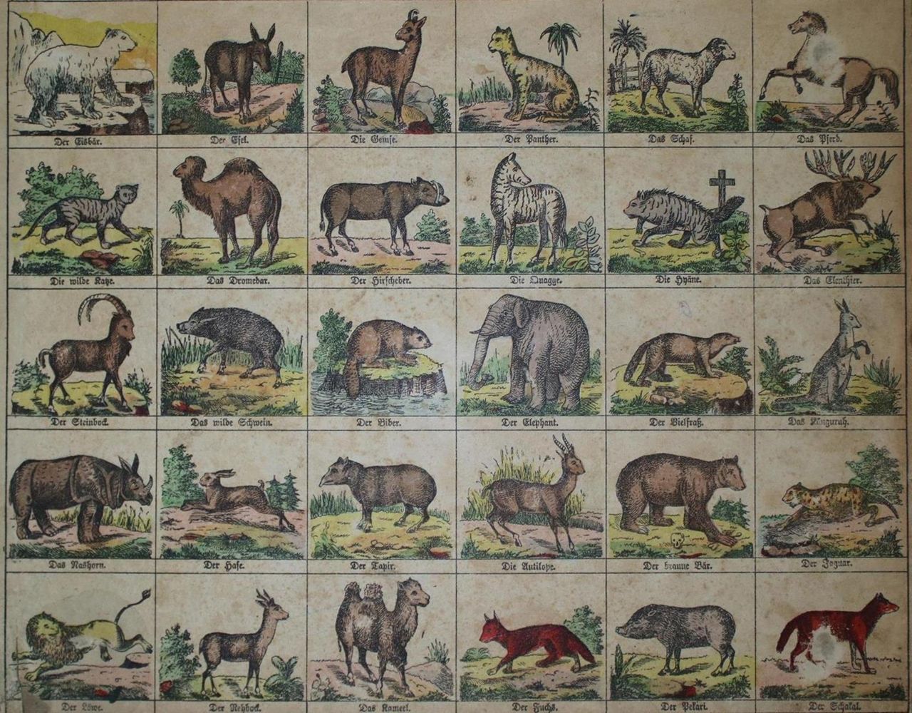 Große Abbildung Nr.1: 133-654 Zoologie.: (Bilderbogen)
