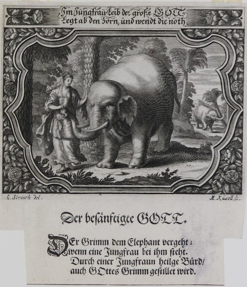 Große Abbildung Nr.4: 133-70 Sammlung: (Emblemata)