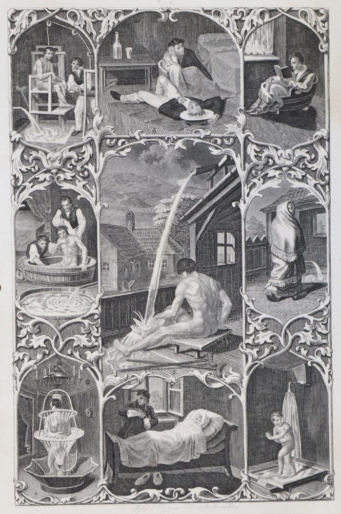 Große Abbildung Nr.3: 133-792 Ireland,J.: (Hogarth)