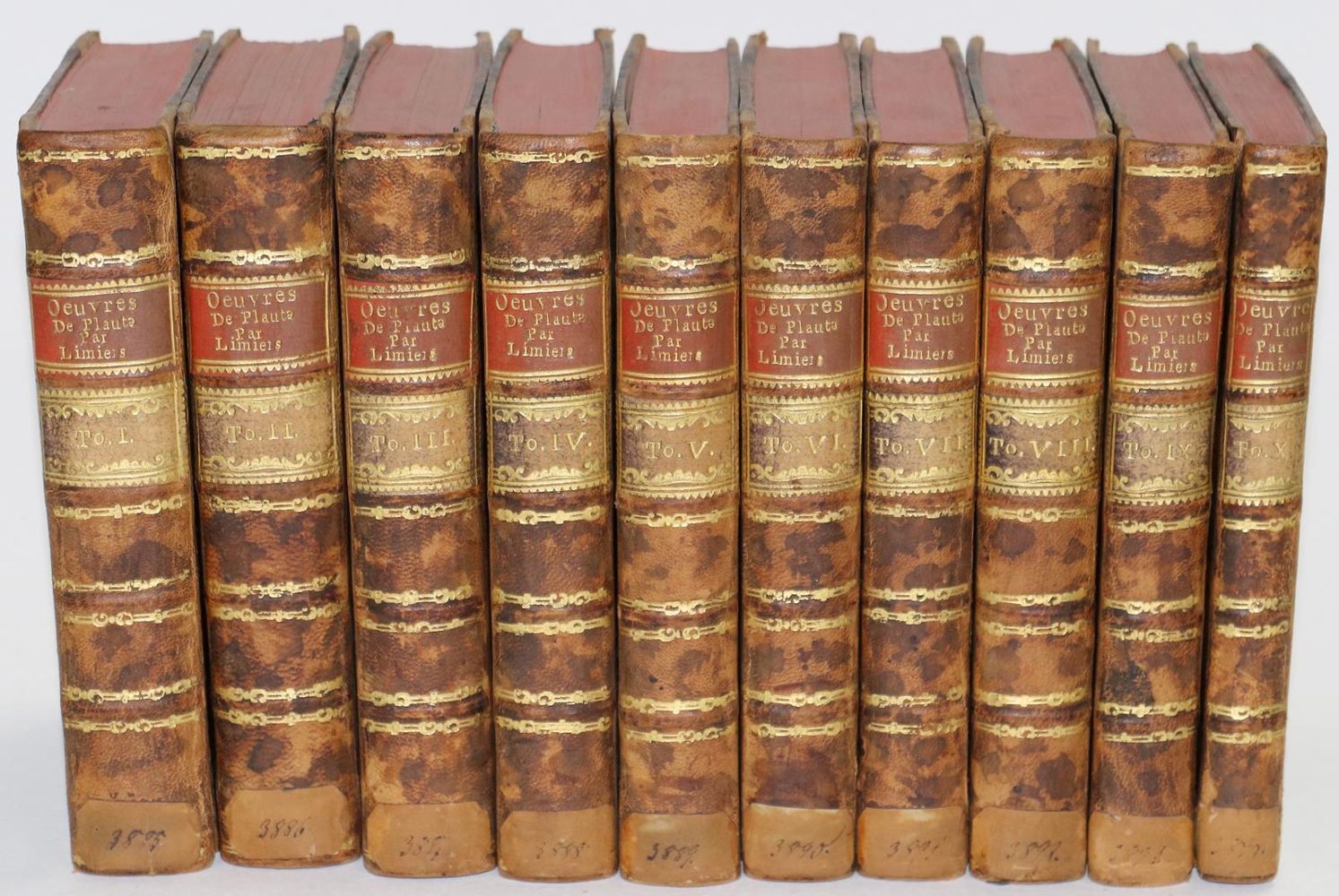Große Abbildung Nr.1: 133-843 Plautus,(T.M.): (Literatur und illustrierte Bücher bis 19.Jahrhundert)