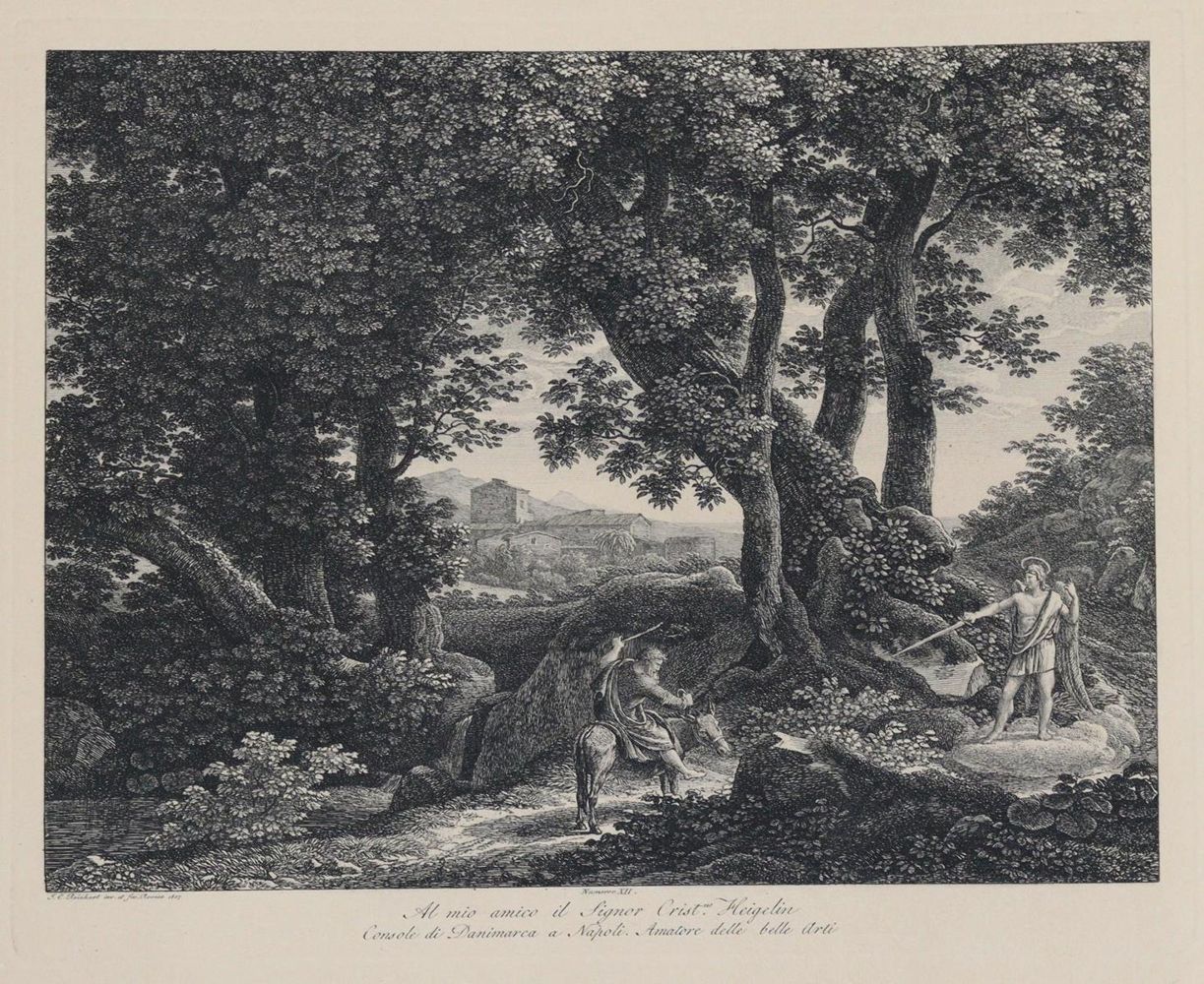 Große Abbildung Nr.11: 133-848 Reinhart,J.C.: (Literatur und illustrierte Bücher bis 19.Jahrhundert)