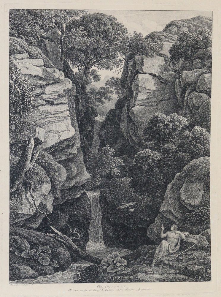 Große Abbildung Nr.12: 133-848 Reinhart,J.C.: (Literatur und illustrierte Bücher bis 19.Jahrhundert)