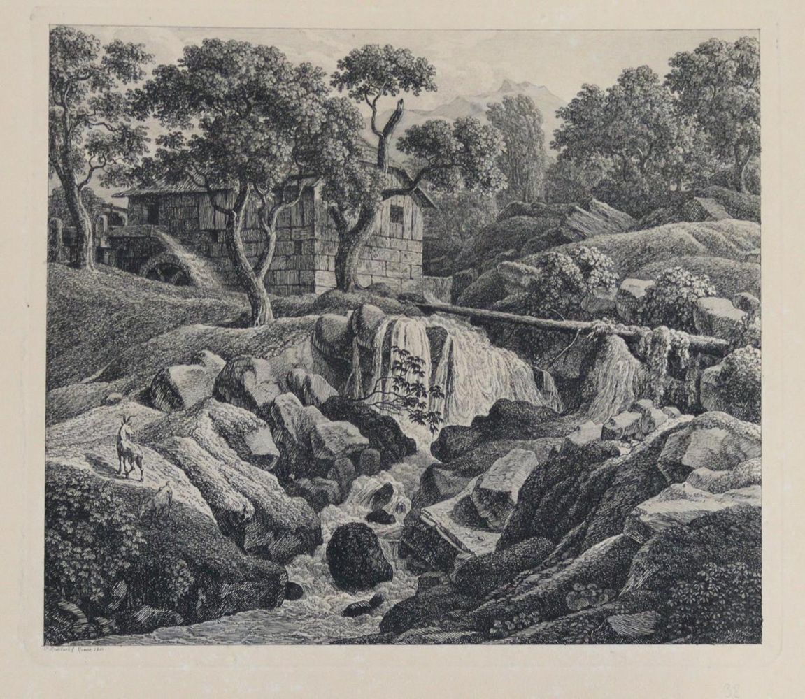 Große Abbildung Nr.9: 133-848 Reinhart,J.C.: (Literatur und illustrierte Bücher bis 19.Jahrhundert)