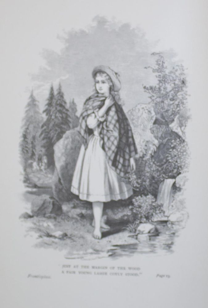 Große Abbildung Nr.4: 133-893 (Toland,M.B.M.).: (Literatur und illustrierte Bücher bis 19.Jahrhundert)