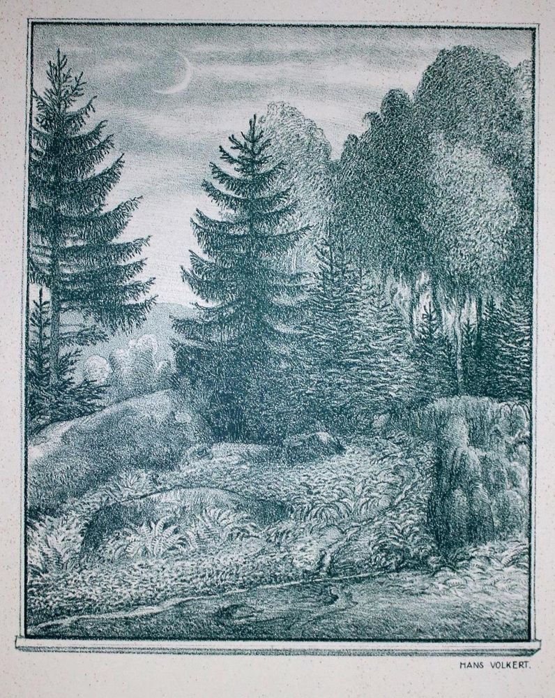 Große Abbildung Nr.2: 133-977 Volkert,H.: (Eichendorff)