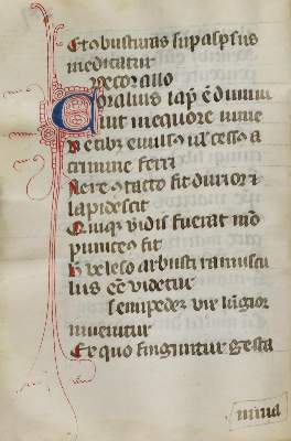 Bild Nr.2: 133-110 (Marbodus Redonensis).: (Handschriften)