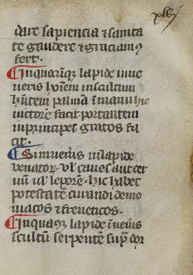 Bild Nr.3: 133-110 (Marbodus Redonensis).: (Handschriften)