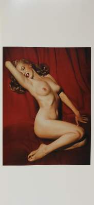 Bild Nr.4: 133-1100 Playboy.: (Literatur und illustrierte Bücher 20.Jahrhundert - Alte Literatur in modernen Ausgaben)