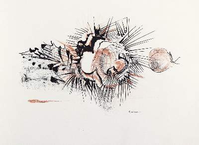 Bild Nr.3: 133-1110 Appel, P.: (Reiner)
