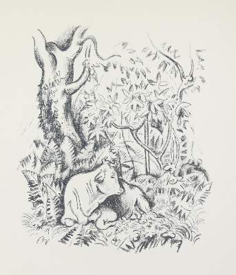Bild Nr.2: 133-1135 Vergilius,M.P.: (Seewald)