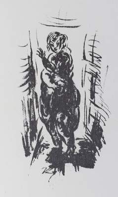 Bild Nr.1: 133-1172 Ziegler, Richard: (Literatur und illustrierte Bücher 20.Jahrhundert - Alte Literatur in modernen Ausgaben)
