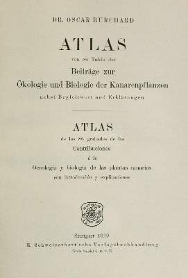 Bild Nr.1: 133-1174 Burchard,O.: (Botanik)