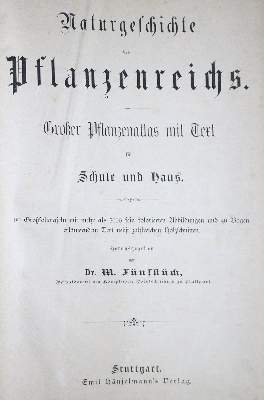 Bild Nr.1: 133-1176 Grieken,T.M.M.v.: (Botanik)
