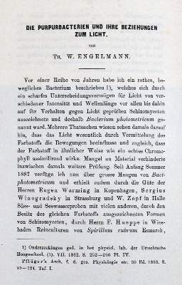 Bild Nr.255: 133-1190 31 Rückgänge: (Medizin)