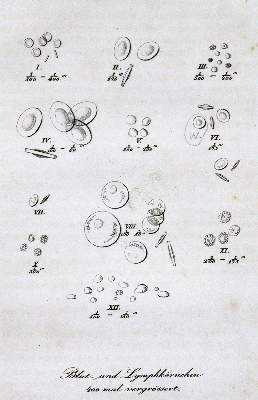 Bild Nr.312: 133-1190 31 Rückgänge: (Medizin)