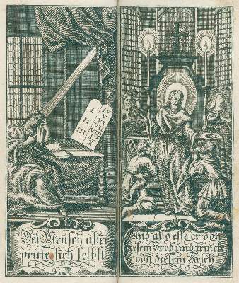 Bild Nr.4: 133-1239 Charleton,W.: (Zoologie)