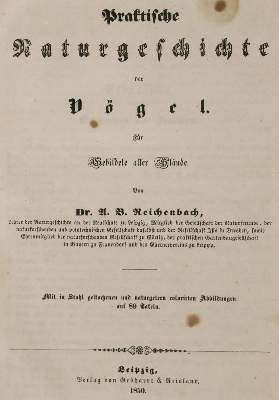 Bild Nr.1: 133-1265 Reichenbach,A.B.: (Zoologie)