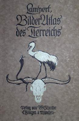 Bild Nr.1: 133-1271 Sammlung: (Zoologie)