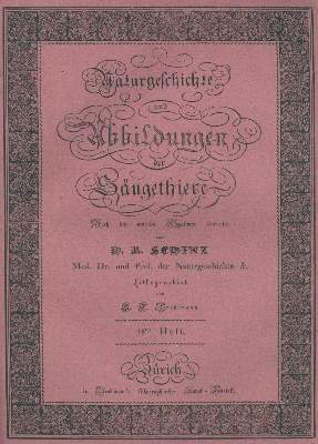 Bild Nr.2: 133-1273 Schinz,H.R.: (Zoologie)