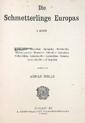 Bild Nr.2: 133-1275 Spuler,A.: (Zoologie, Schmetterlinge)
