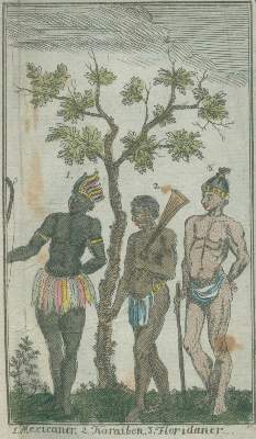 Bild Nr.2: 133-1278 Sickel,H.F.F.: (Zoologie)
