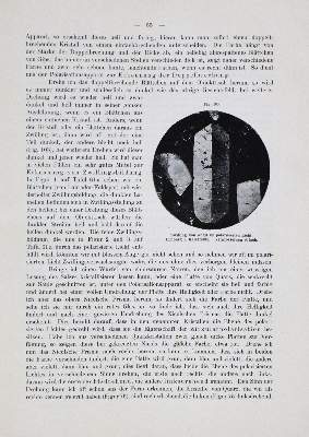 Bild Nr.5: 133-1307 Brauns,R.: (Verschiedene Gebiete - Varia, Geologie - Mineralogie u. Paläontologie)