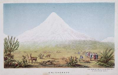 Bild Nr.1: 133-1314 Humboldt,A.v.: (Verschiedene Gebiete - Varia)