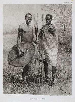 Bild Nr.1: 133-1349 Baumann,O.: (Afrika)