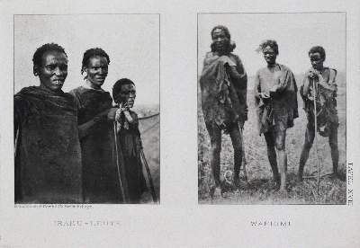 Bild Nr.4: 133-1349 Baumann,O.: (Afrika)