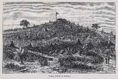 Bild Nr.1: 133-1356 Wilson,C.T. u. Felkin,R.W.: (Afrika)