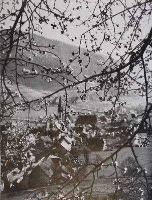 Bild Nr.1: 133-1487 Fritsch,(W.).: (Deutschland)