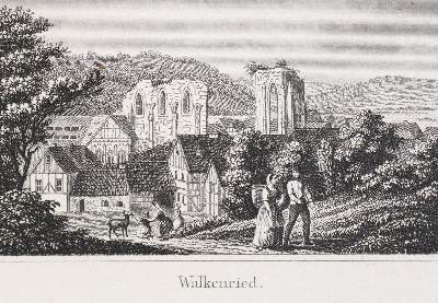 Bild Nr.1: 133-1497 Ripe,W.: (Deutschland, Harz)