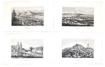 Bild Nr.3: 133-1497 Ripe,W.: (Deutschland, Harz)