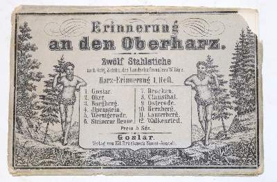 Bild Nr.5: 133-1497 Ripe,W.: (Deutschland, Harz)