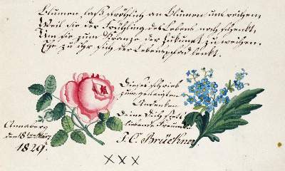 Bild Nr.1: 133-1532 Album amicorum.: (Deutschland, Sachsen, Handschriften)