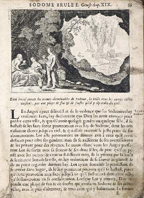 Bild Nr.5: 133-1559 Ducasse,(F.).: (Frankreich)