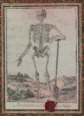 Bild Nr.2: 133-1762 Reiseapotheke Giftapotheke.: (Varia, Medizin)