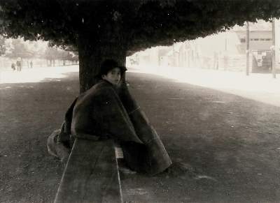Bild Nr.1: 133-2030 Auerbach, Ellen: (Photographie)