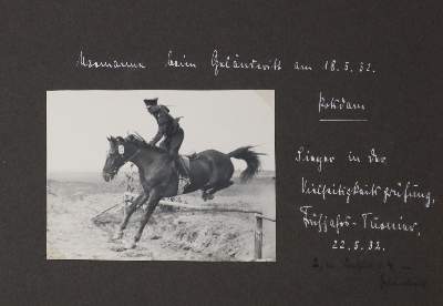 Bild Nr.2: 133-2043 Album: (Pferde)