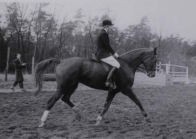Bild Nr.1: 133-2044 Pferdesport.: (Photographie)
