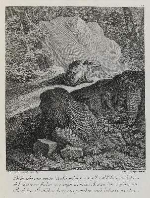 Bild Nr.1: 133-2104 Ridinger,E.J.: (Varia, Jagd, Dachse)